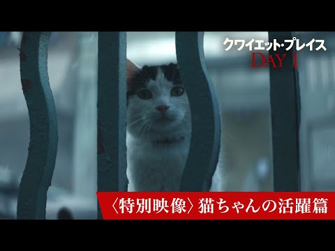 〈特別映像〉猫ちゃんの活躍篇