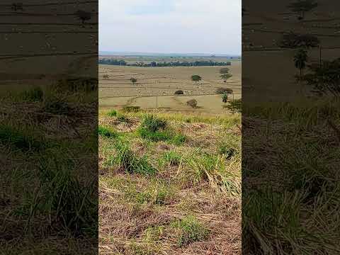 fazenda são José em Quintana interior de São Paulo Brasil