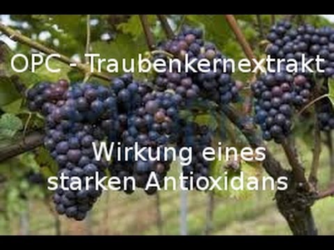 , title : 'OPC - Traubenkernextrakt - Wirkung eines starken Antioxidans'