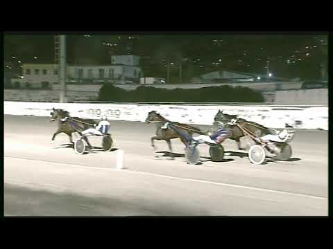 Trotto 01/03/2020 - 6ª corsa