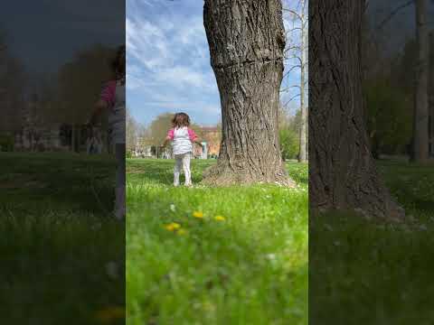 💚 #nature #spring #flowers