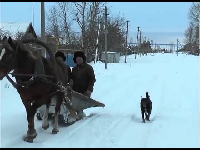 4 к 1 – хорошая пропорция