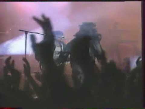 TEAM - Nebuď pes (Live)