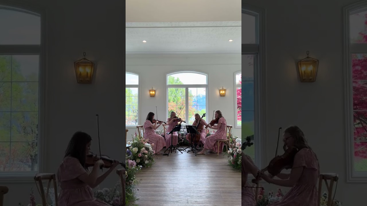 Promotional video thumbnail 3 for Souvenir Strings