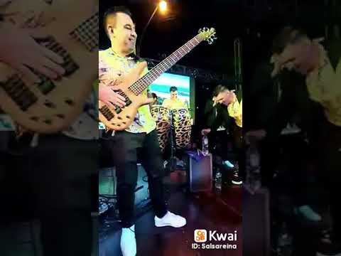 Desde Argentina Bam Band Orquesta y su show 💖 #salsareinacali #salsa