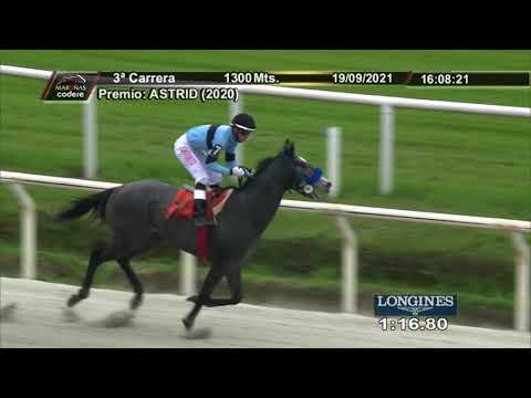 210919 c03 PEPSI ZERO