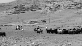 Yaşar Gaga Ft  Tarkan Sezen Aksu - Ceylan