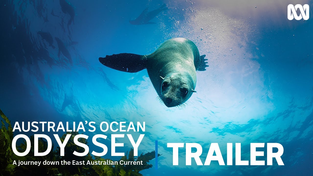 Australia's Ocean Odyssey: A Journey Down The East Australian Current | Official Trailer