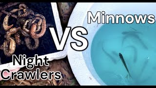 Fishing with LIVE BAIT! (Multi-Species Fishing)