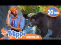 Memberi Makan Hewan di Kebun Binatang🦒 | Blippi Bahasa Indonesia - Video Anak | Petualangan Blippi