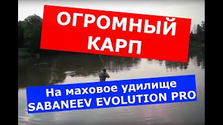 Удилище телескопическое с кольцам сабанеева