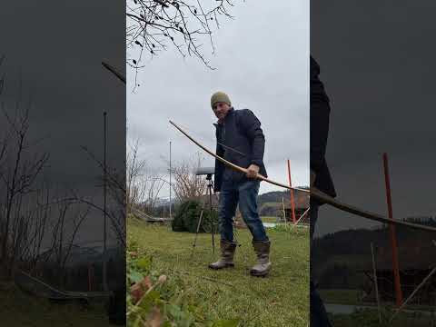 Speedtest - Horn/Yew/Maple/Bamboo-Bow, 40#-28", 7gpp