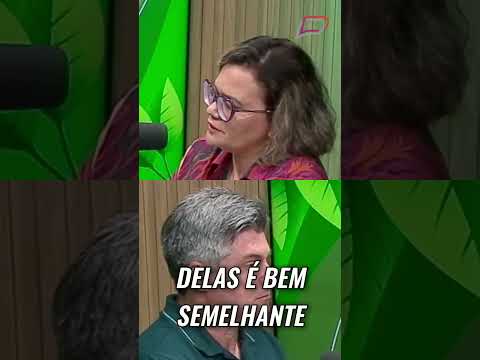 Pitaya é baixa em calorias e rica em nutrientes