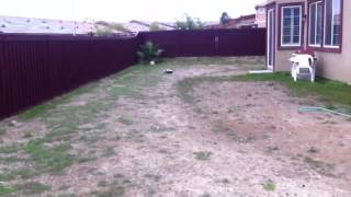 Traxxas slash 2wd sand rail