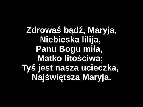 Zdrowaś bądź, Maryja | 2022