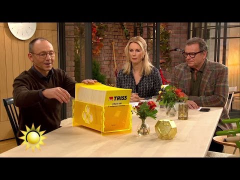 Rejäl trissvinst ska gå till en Vietnamresa - Nyhetsmorgon (TV4)