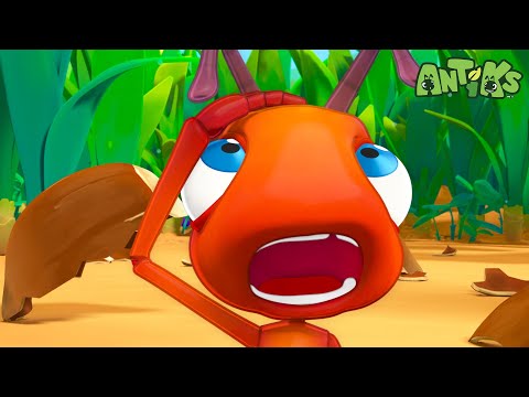 CAN'T CRACK THAT NUT | 1 Hour of Antiks🐜 | Funny Adventure Cartoons for Kids | Be Brave!