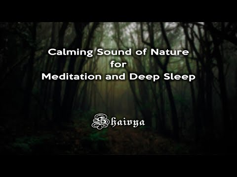 10 hour Calming Sound of Nature for Meditation and Deep Sleep | Sleep Music | Shaivya | Moinak Dutta