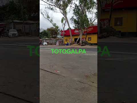 Totogalpa🇳🇮🌳😍 Madriz!