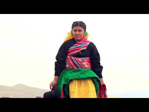 Vibraciones Andinas - Chinchilla