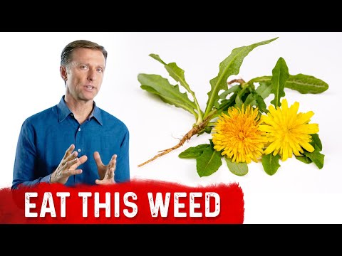 An APPLE a Day Will NOT Let Your Weight Go Away – Dr Berg