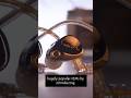 KZ Castor vs Castor Pro - Which one is RIGHT FOR YOU? #audiophile #iem #shorts #viralshorts