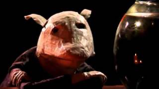 Foals - &quot;2 Trees&quot; - 2010.flv