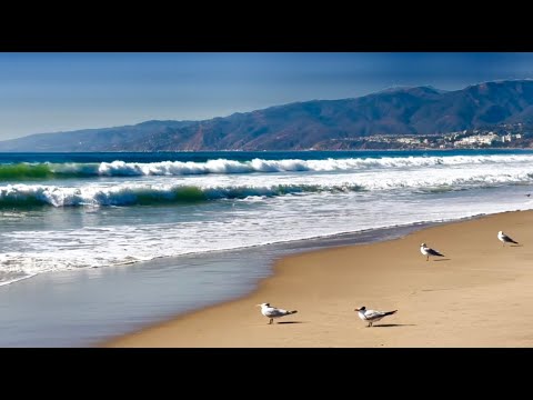 🔴Peaceful Beach Scene, Seagulls Seabirds, Calming Ocean Wave Sounds for Meditation and Deep Sleeping