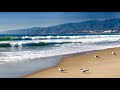 Peaceful Beach Scene Seagulls Seabirds Calming Ocean Wave Sounds For Meditation And Deep Sleeping