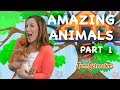 Amazing Animals | Treeschool | PART 1 | Educational Kids Videos