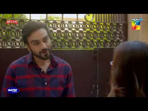 cute mishi #status #chupke chupke