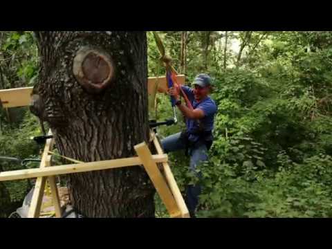 treehouse building time lapse