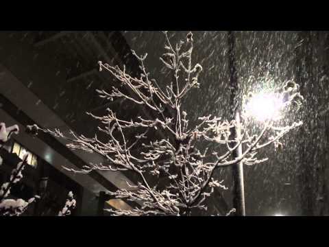 Deadly Valentines Day Snow Storm in Japan