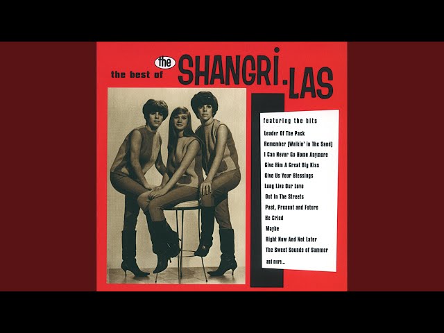 The Shangri-Las: Una banda que cambió la escena musical de los 60