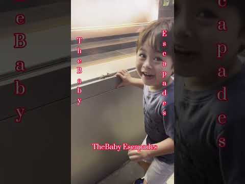 Catching Lizard | TheBaby Escapades