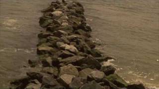 Once in a Lifetime by Sammy Davis jr.