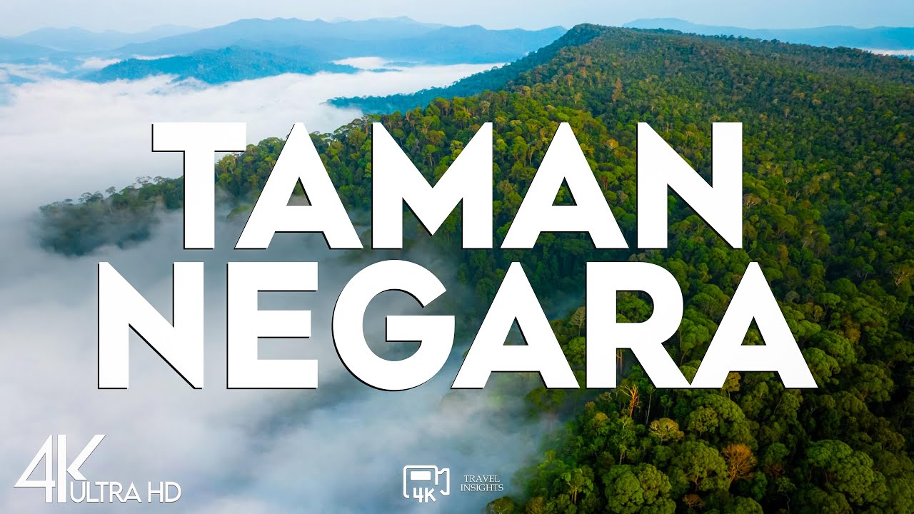 Top 10 Best Things to do in Taman Negara, Malaysia - Travel Video 2025