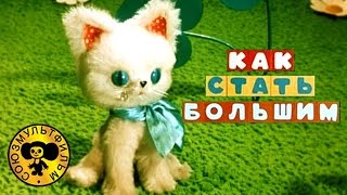 Как стать большим | Советские мультфильмы для малышей
