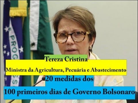 100 dias do governo Bolsonaro 7: Tereza Cristina