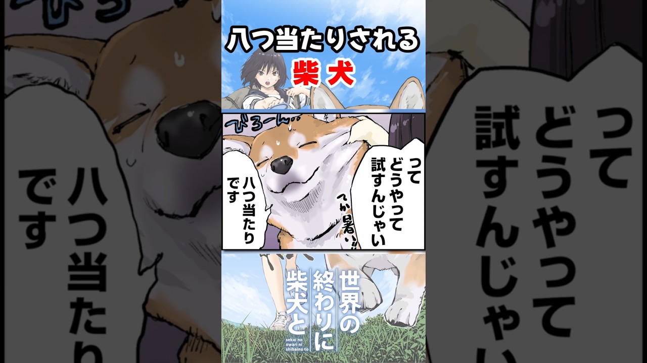 柴犬の話を聞いて八つ当たりする女子高生 #世界の終わりに柴犬と #shorts