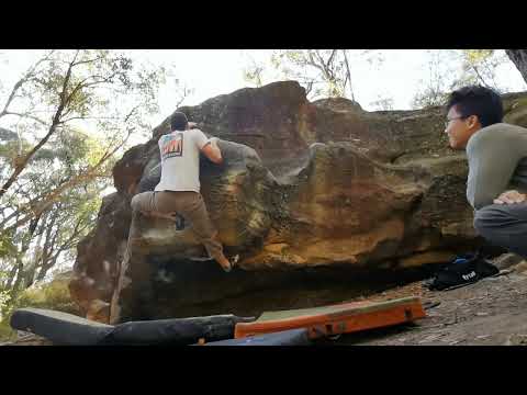 The Bright Side (V5), Frontline