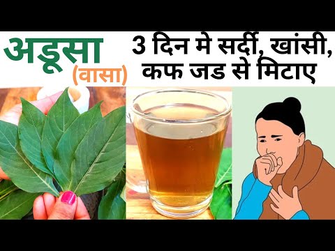 Get rid of chest phlegm, cold and cough with Adusa/Vasa in 3 days. Sardi Khasi Ka Ilaj|Adusa|Vasa...