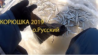 Зимняя рыбалка на русском острове