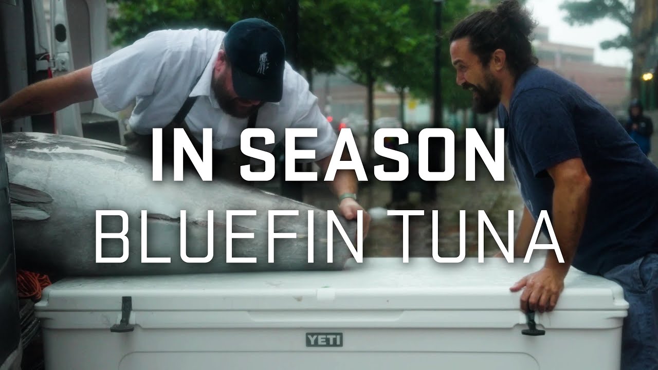 Bluefin Tuna Season in Portland, Catch & Prepare Japanese-inspired Hand Rolls