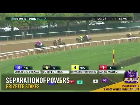 2017 Frizette Stakes - Seperationofpowers
