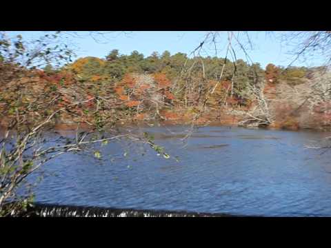 Marstons Mills Mill Pond Autumn beauty