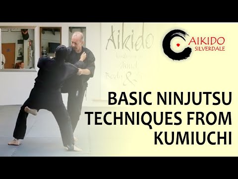 BASIC NINJUTSU TECHNIQUES FROM KUMIUCHI