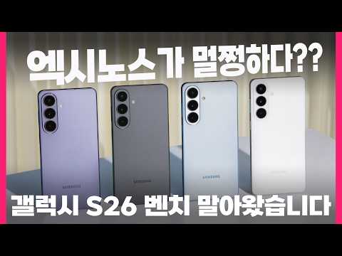 �Ｚ���� ������S26 ��Ʈ�� 256GB, �ڱ���