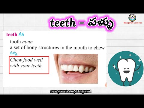 Learn a word a day, level 1