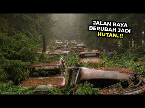 Macet 70 Tahun..!! Mobil Jadi Rongsokan, Orangnya Hilang Kemana..? Temuan Mengejutkan Di Hutan
